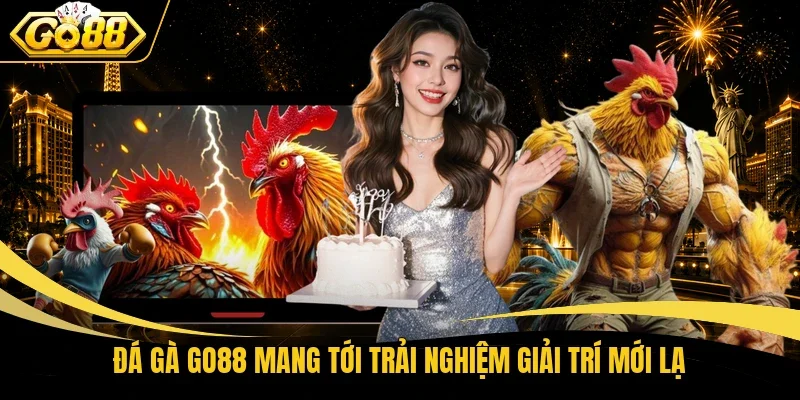 Đá gà Go88 mang tới trải nghiệm giải trí mới lạ