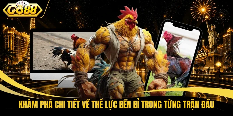 Khám phá chi tiết về thể lực bền bỉ trong từng trận đấu