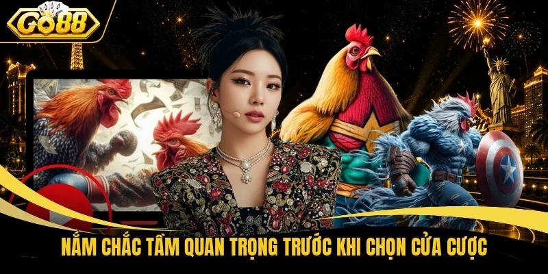 Nắm chắc tầm quan trọng trước khi chọn cửa cược