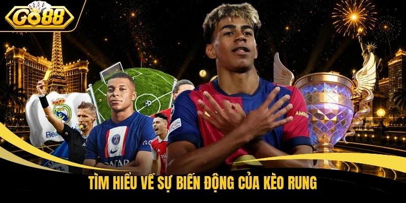 Tìm hiểu về sự biến động của kèo rung